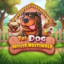The Dog House Multihold gra w Wonaco Casino dla graczy z Polski The Dog House Multihold gra w Wonaco Casino dla graczy z Polski